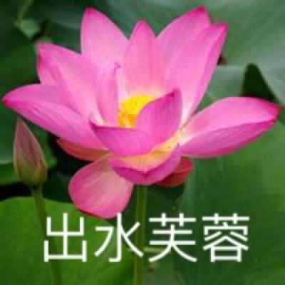 云上仙缘正版下载